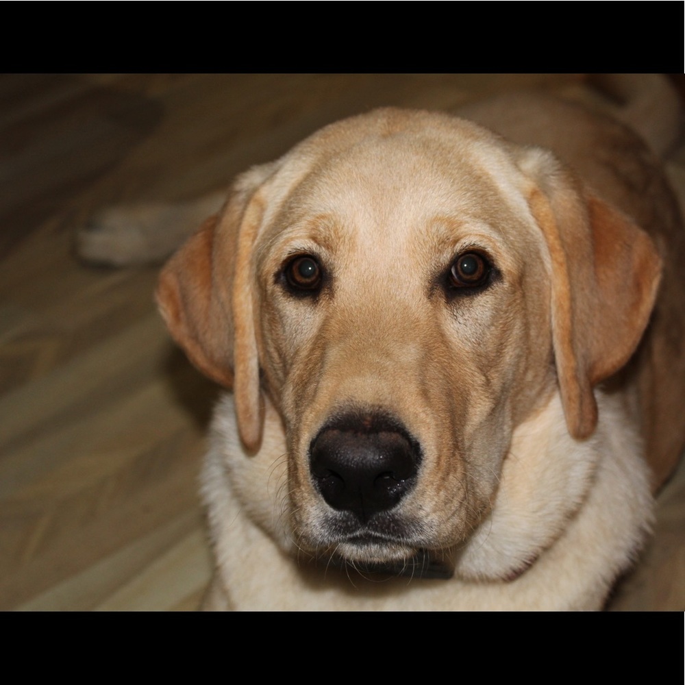 Meet your Posher, Hailey